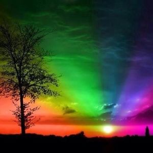 Meet your Posher, Shawn